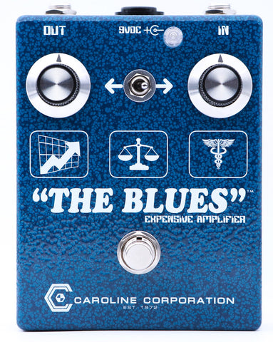 Caroline Guitar Company The Blues Expensive Amp