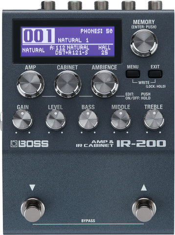 Boss IR-200 Amp and IR Cabinet