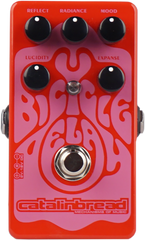 Catalinbread Bicycle Delay