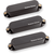 Seymour Duncan AS-1 Blackouts Single for Strat Set of 3 Pickups Seymour Duncan www.stevesmusiccenter.net