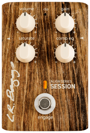 LR Baggs Align Session